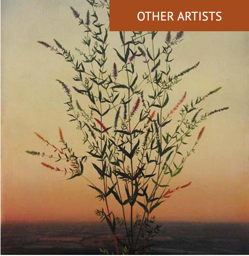 other artists 2019